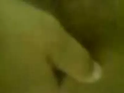 ਮੈਕੇਂਜੀ ਲੀ, ਪ੍ਰੈਸਟਨ ਪਾਰਕਰ ਇਨ ਹਾਊਸਵਾਈਫ 1 ਆਨ 1