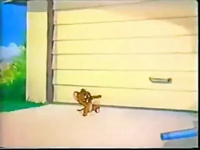 ਵੇਟ ਵੇਜਡ ਵੀਡੀਓ (ਗੁਲਾਬ)